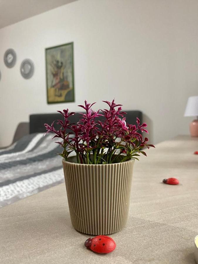 Cozy Apartment Ladybug, Sarajevo SJJ Exterior photo